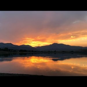 Meet your Posher, Donovan